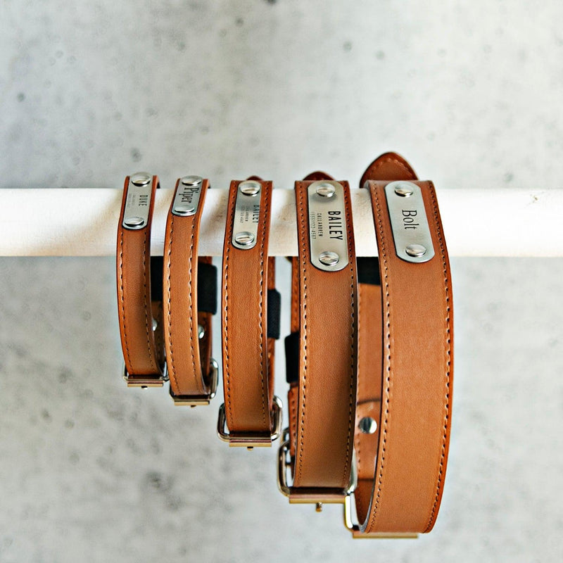 Personalized Leather Pet Collars -  - Qualtry