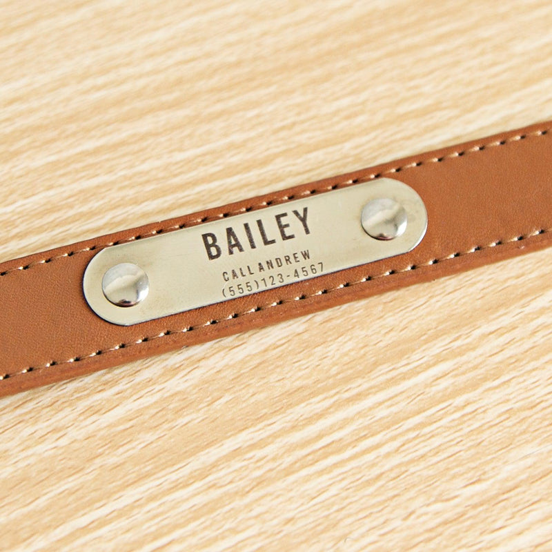 Personalized Leather Pet Collars -  - Qualtry