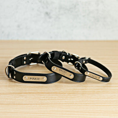 Personalized Leather Pet Collars -  - Qualtry