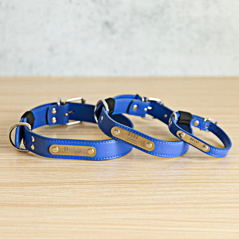 Personalized Leather Pet Collars -  - Qualtry