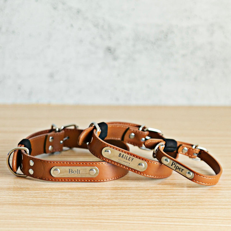 Personalized Leather Pet Collars -  - Qualtry