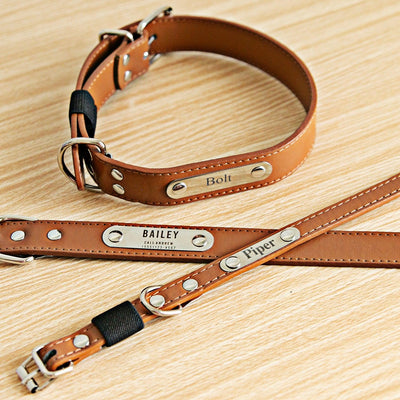 Personalized Leather Pet Collars -  - Qualtry