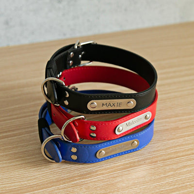 Personalized Leather Pet Collars -  - Qualtry