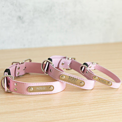 Personalized Leather Pet Collars -  - Qualtry