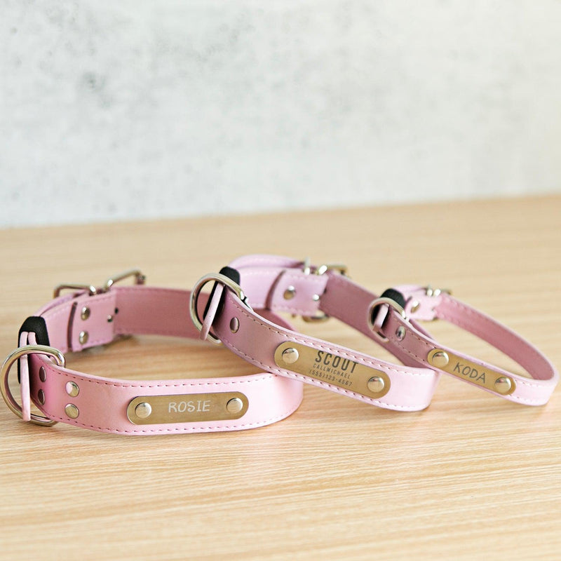 Personalized Leather Pet Collars -  - Qualtry