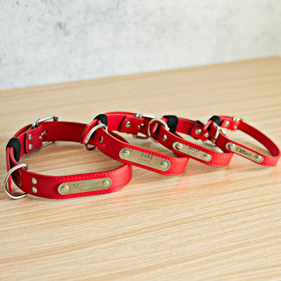 Personalized Leather Pet Collars -  - Qualtry