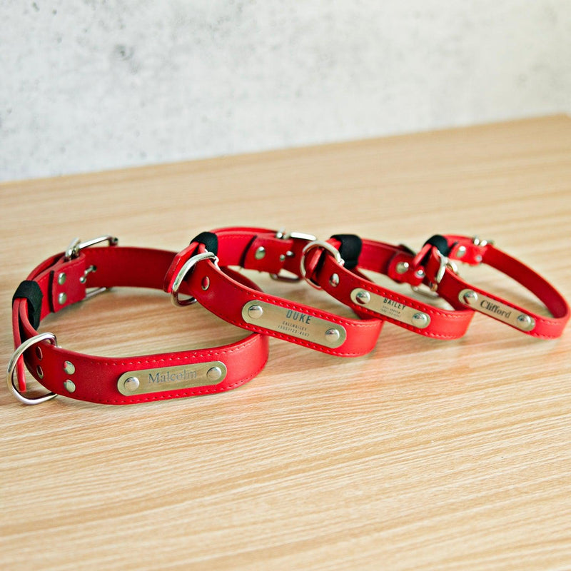 Personalized Leather Pet Collars -  - Qualtry