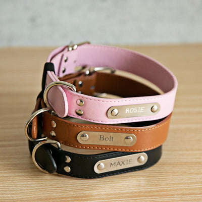Personalized Leather Pet Collars -