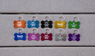 Personalized Large Pet Tags -  - Qualtry