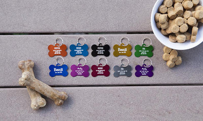 Personalized Large Pet Tags -  - Qualtry