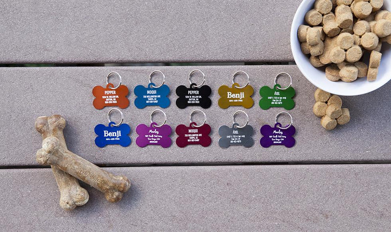 Personalized Large Pet Tags -  - Qualtry