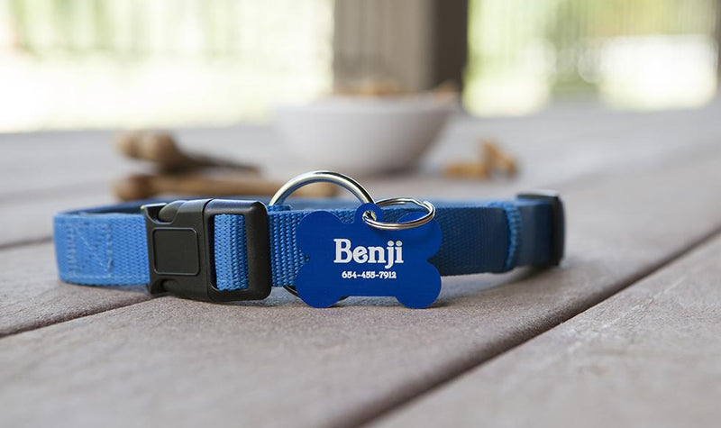 Personalized Large Pet Tags -  - Qualtry